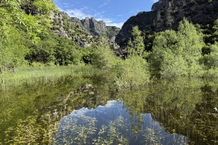 Du grand étang temporaire à la mare : le Pas de l’Estang sauve des libellules dans la Drôme
