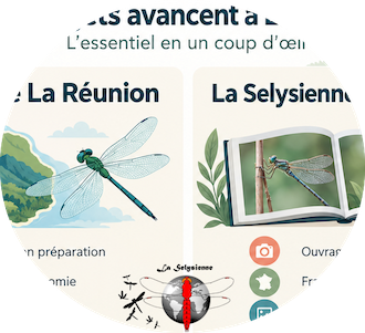 Deux projets avancent à La Selysienne
