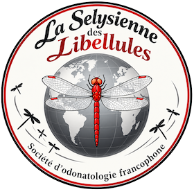 La Selysienne des Libellules™ : un album photo