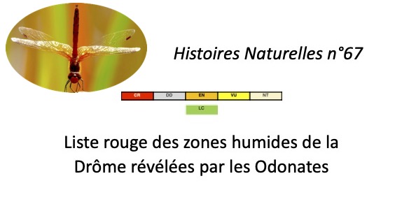 Évaluation patrimoniale des Odonates et de leurs habitats dans la Drôme